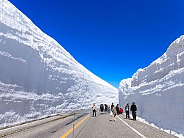 O sníh na úbo�ích poho�í Hida nouzi nemají. Podél trasy Tatejama Kurobe, která...