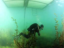 Pod hladinou jezera Most.