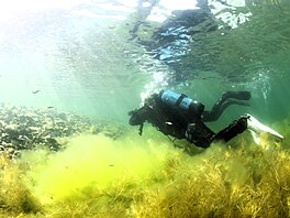 Pod hladinou jezera Most.