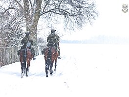 Jednotka 19. Nadbu�anské brigády územní obrany se specializuje na jízdní...