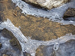 Mrazivé po�así d�lá divy, pro o�i je to pastva.