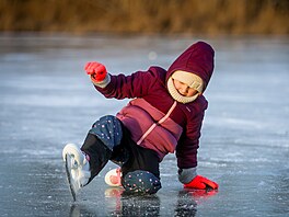 První dny roku 2026 p�inesly zimní po�así, které dovoluje bruslení na rybnících...