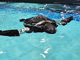 RoboTurtle plave u stánku Beatbot b�hem technologické výstavy CES ve st�edu 7....