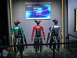 Leto�ní CES je oble�en r�znými roboty. Tyto se slu�ivým klobou�kem byli na...