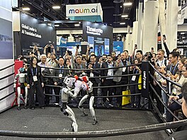 Lidé sledují humanoidní roboty spole�nosti Unitree Robotics, kte�í p�edvád�jí...