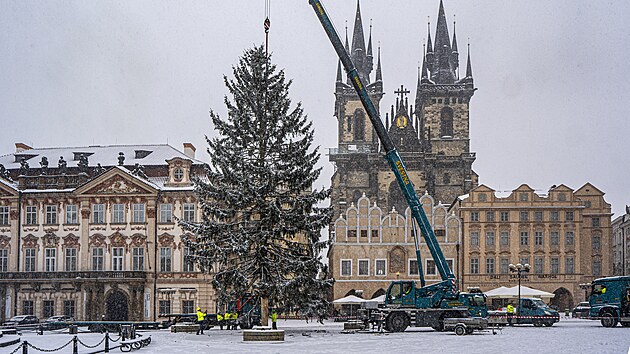 Na Starom�stsk�m n�m�st� prob�h� odstran�n� v�no�n�ho stromu. (9. ledna 2026)
