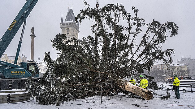 Na Starom�stsk�m n�m�st� prob�h� odstran�n� v�no�n�ho stromu. (9. ledna 2026)