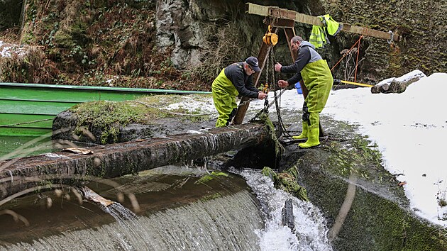 Poprv� po v�ce ne� t�ech letech od rozs�hl�ho po��ru v N�rodn�m parku �esk� �v�carsko do�lo k otev�en� jezu v Edmundov� sout�sce nedaleko H�enska. Rychl� proud vody pom��e vy�istit tok od naplavenin a usazenin. (5. ledna 2026)