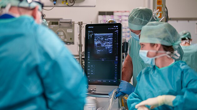 Olomou�t� l�ka�i b�hem v�m�ny aort�ln� chlopn�, kterou nov� prov�d�j� takzvanou metodou AVR.