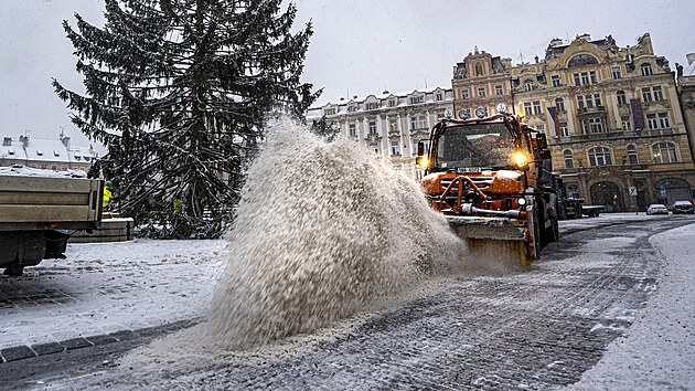 Odstra�ov�n� v�no�n�ho stromu prov�zela pr�ce zimn� �dr�by kv�li hust�mu zasn�en� (9. ledna 2026)