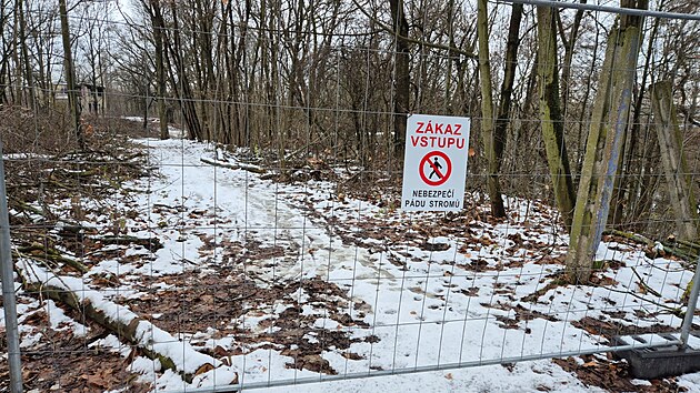 Str�n�ci hledali psa, na�li mu�e se zlomenou nohou. (7. ledna 2026)