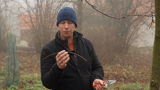 Recept�� prima n�pad�, ovocn� strom, zima, ovocn�� Karel Marou�ek, sb�r roub�