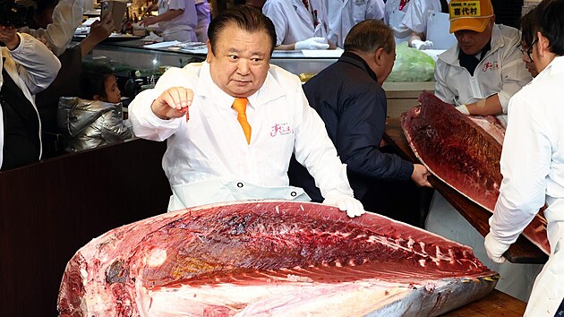 Kijo�i Kimura a tu��k modroploutv� (5. ledna 2026)