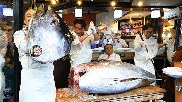 Japonsk� �et�zec su�i restaurac� zaplatil v tradi�n� novoro�n� aukci na ryb�m trhu v Tokiu rekordn�ch 510 milion� jen� za tu��ka modroploutv�ho. (5. ledna 2025)