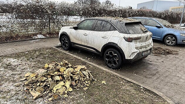 V Plzni u budovy Plze�sk� tepl�rensk� vybuchl horkovod. Po explozi z�stal v zemi kr�ter a ��sti hl�ny a izolace se rozl�tly po okol�. (8. ledna 2025)