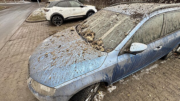 V Plzni u budovy Plze�sk� tepl�rensk� vybuchl horkovod. Po explozi z�stal v zemi kr�ter a ��sti hl�ny a izolace se rozl�tly po okol�. (8. ledna 2025)