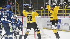 Litvínovská gólová radost v utkání proti Kladnu.