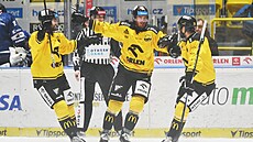 Litvínov slaví gól Ond�eje Jur�íka (uprost�ed).