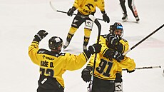 Gólová oslava litvínovských hokejist� v utkání proti Kladnu.