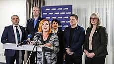 Brn�nská organizace hnutí ANO si pod dohledem krajské �éfky Aleny Schillerové...