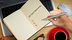 novoro�ní p�edsevzetí