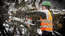 Na Starom�stském nám�stí probíhá odstran�ní váno�ního stromu. (9. ledna 2026)