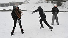 Zasn�ený led v Ústí nad Labem láká k zimním radovánkám. (9. ledna 2026)