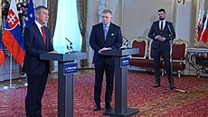 Spole�ná tisková konference premiér� �eské republiky Andreje Babi�e a Slovenské...