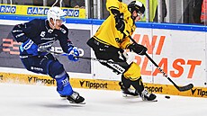 Jakub Kos z Brna (vlevo) ve snaze odzbrojit Quinna Schmiemanna z Litvínova.