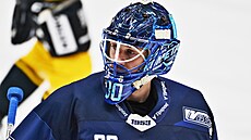 Brn�nský branká� Ale� Stezka.