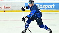 Plze�ský �alda zakon�uje na bránu Liberce.