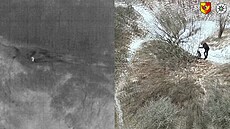 Ztraceného seniora nalezl policejní dron