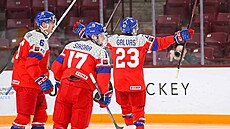 Tomá� Galvas slaví vyrovnávací gól ve �tvrtfinále proti �výcarsku.