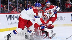 CO TAM D�LÁ? �eský obránce Radim Mrtka (6) hlídkuje p�ed brankou. Ale tou...