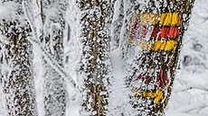 Mraziv� po�as� v Orlick�ch hor�ch (6. ledna 2026)