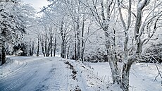 Mraziv� po�as� v Orlick�ch hor�ch (6. ledna 2026)