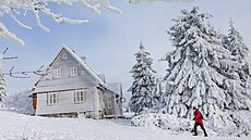 Mrazivé po�así v Orlických horách (6. ledna 2026)