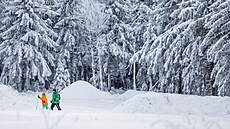 Mrazivé po�así v Orlických horách (6. ledna 2026)