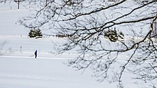 Krásné po�así a dostatek nového sn�hu v Orlických horách. Na snímku b�ka�i v...