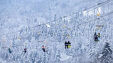 Mrazivé po�así Rejdice, Ko�enov (7. ledna 2026)