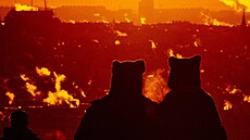 ilustra�ní snímek