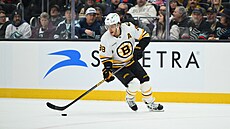 David Pastr�ák vymý�lí s pukem na holi úto�nou akci.