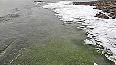 Zelený led na Lipn� v prosinci 2025. (8. ledna 2026)