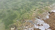 Zelený led na Lipn� v prosinci 2025. (8. ledna 2026)