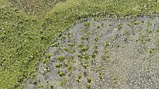 Zelený led na Lipn� v prosinci 2025. (8. ledna 2026)