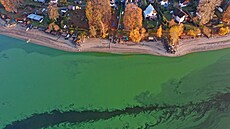 Sinice na Lipn� v listopadu 2025. (8. ledna 2026)