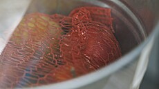 Velk� �sp�ch maj� stroje prod�vaj�c� ovoce a zeleninu. Na sn�mku automat z...