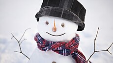 sn�hulák, stav�ní, sníh, historie