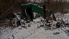 P�íst�e�ek bezdomovc� v Brn� (6. prosince 2026)