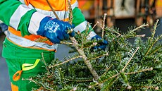 Strome�ky na chodník nepat�í